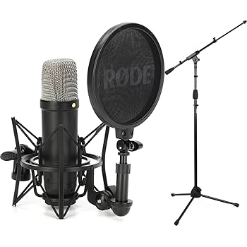 Amazon.com: Rode NT1 Signature Series Condenser Microphone